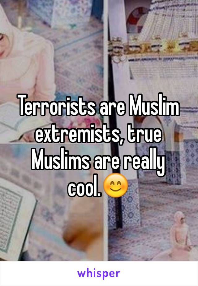 Terrorists are Muslim extremists, true Muslims are really cool.😊