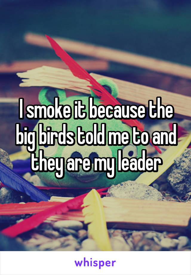 I smoke it because the big birds told me to and they are my leader