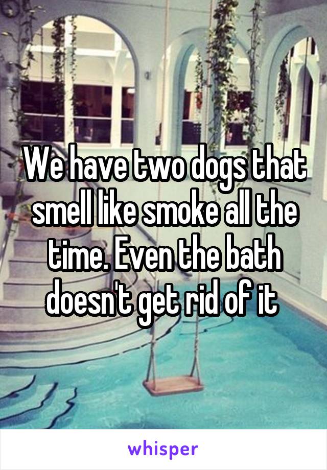 We have two dogs that smell like smoke all the time. Even the bath doesn't get rid of it 