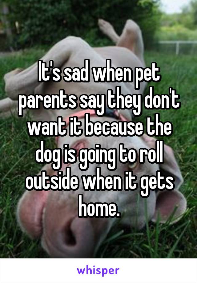 It's sad when pet parents say they don't want it because the dog is going to roll outside when it gets home.