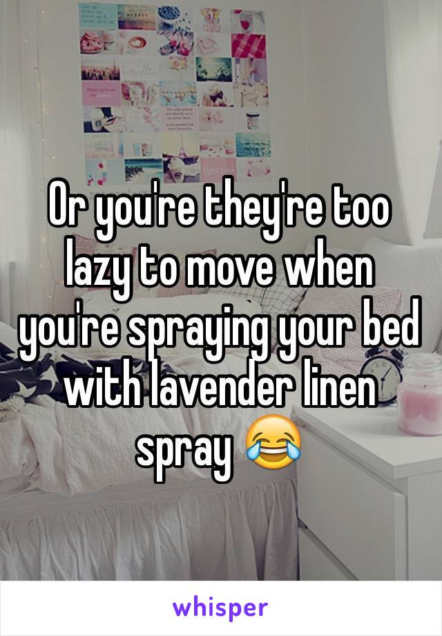 Or you're they're too lazy to move when you're spraying your bed with lavender linen spray 😂