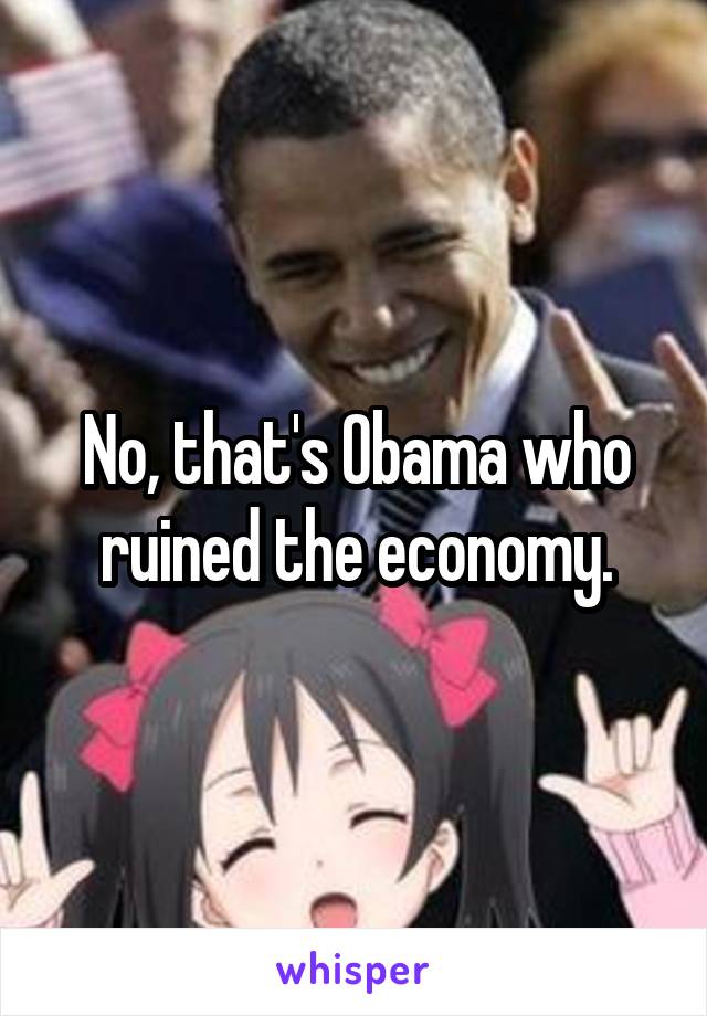 No, that's Obama who ruined the economy.