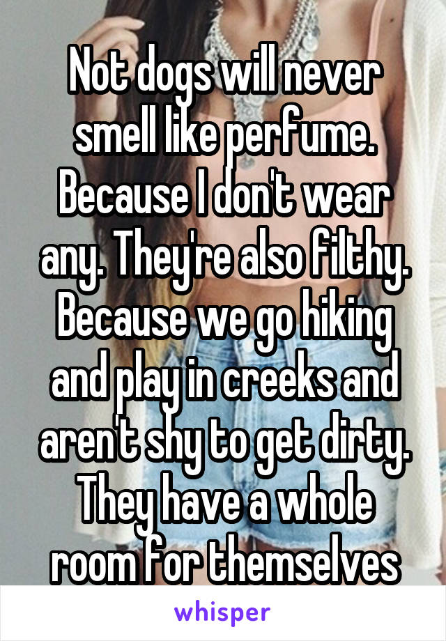 Not dogs will never smell like perfume. Because I don't wear any. They're also filthy. Because we go hiking and play in creeks and aren't shy to get dirty. They have a whole room for themselves