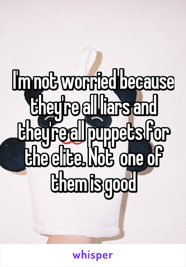 I'm not worried because they're all liars and they're all puppets for the elite. Not  one of them is good