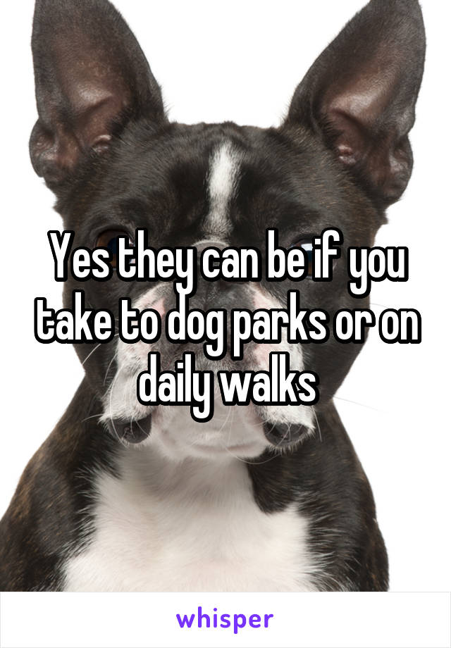 Yes they can be if you take to dog parks or on daily walks