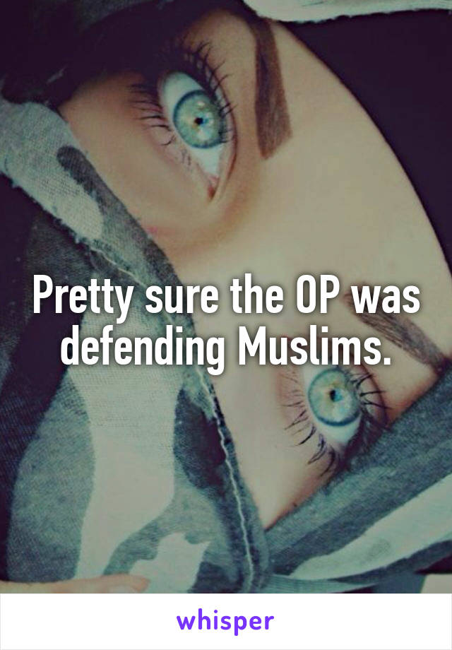 Pretty sure the OP was defending Muslims.
