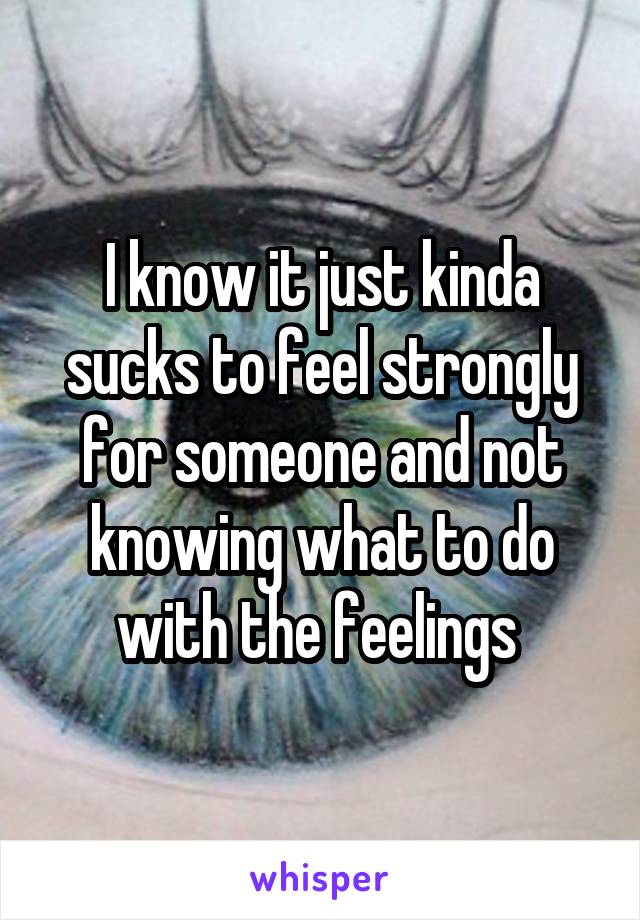 I know it just kinda sucks to feel strongly for someone and not knowing what to do with the feelings 