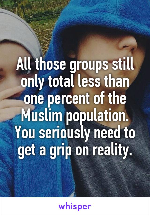 All those groups still only total less than one percent of the Muslim population.
You seriously need to get a grip on reality.