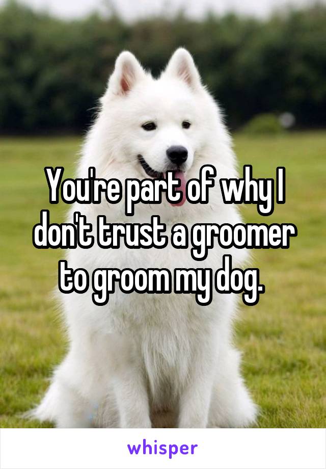 You're part of why I don't trust a groomer to groom my dog. 
