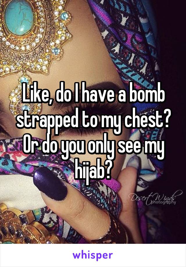 Like, do I have a bomb strapped to my chest? Or do you only see my hijab?