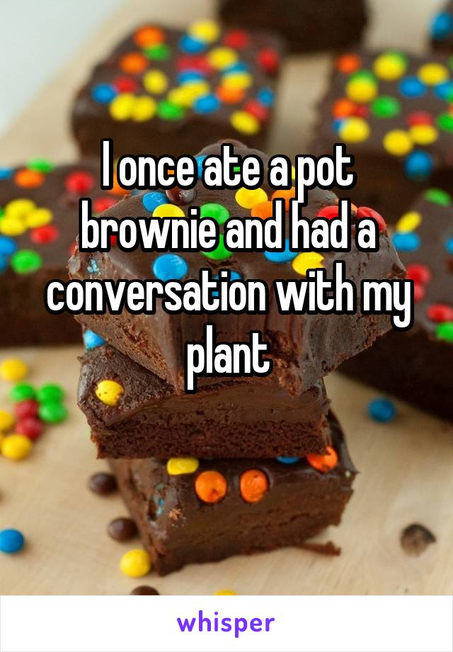 I once ate a pot brownie and had a conversation with my plant
 
