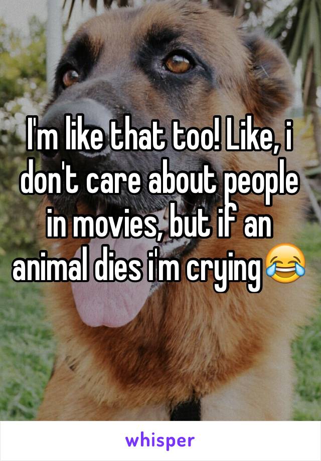 I'm like that too! Like, i don't care about people in movies, but if an animal dies i'm crying😂