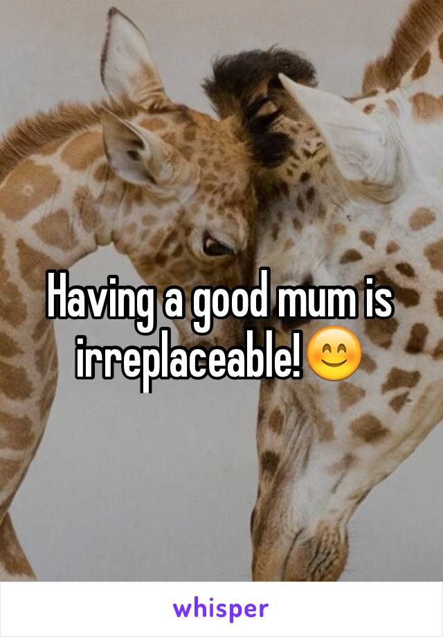Having a good mum is irreplaceable!😊