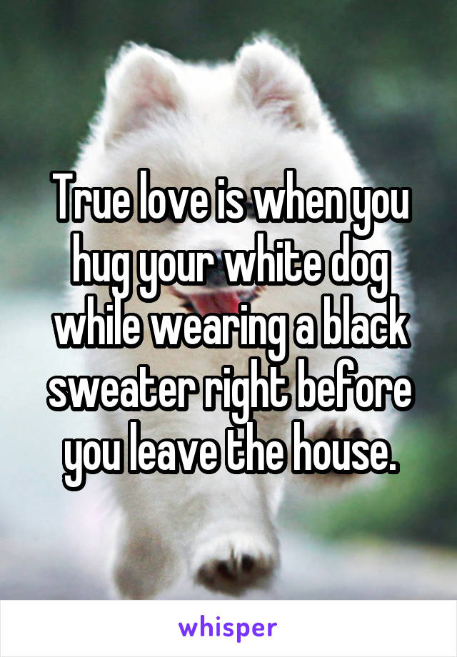 True love is when you hug your white dog while wearing a black sweater right before you leave the house.