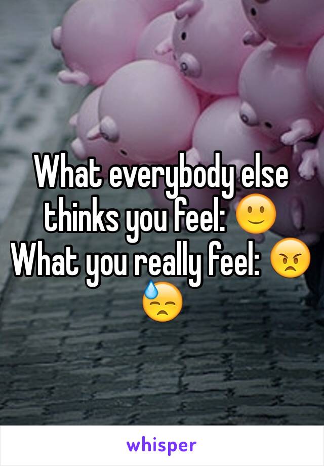 What everybody else thinks you feel: 🙂
What you really feel: 😠😓 