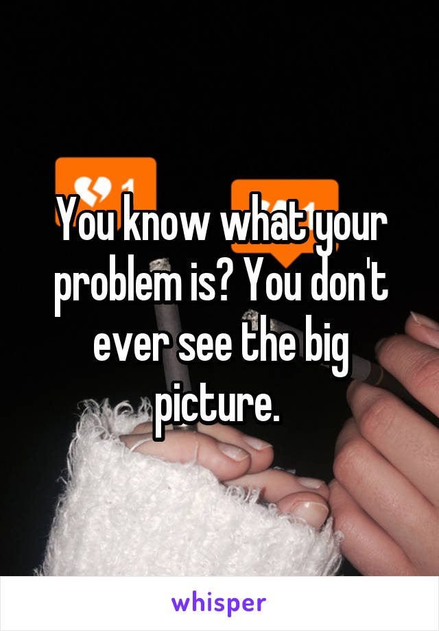 You know what your problem is? You don't ever see the big picture. 