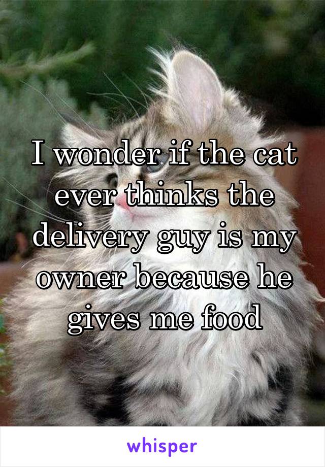 I wonder if the cat ever thinks the delivery guy is my owner because he gives me food