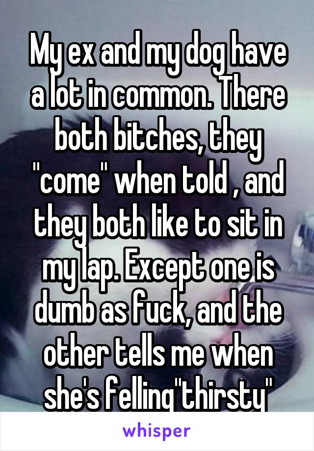 My ex and my dog have a lot in common. There both bitches, they "come" when told , and they both like to sit in my lap. Except one is dumb as fuck, and the other tells me when she's felling"thirsty"
