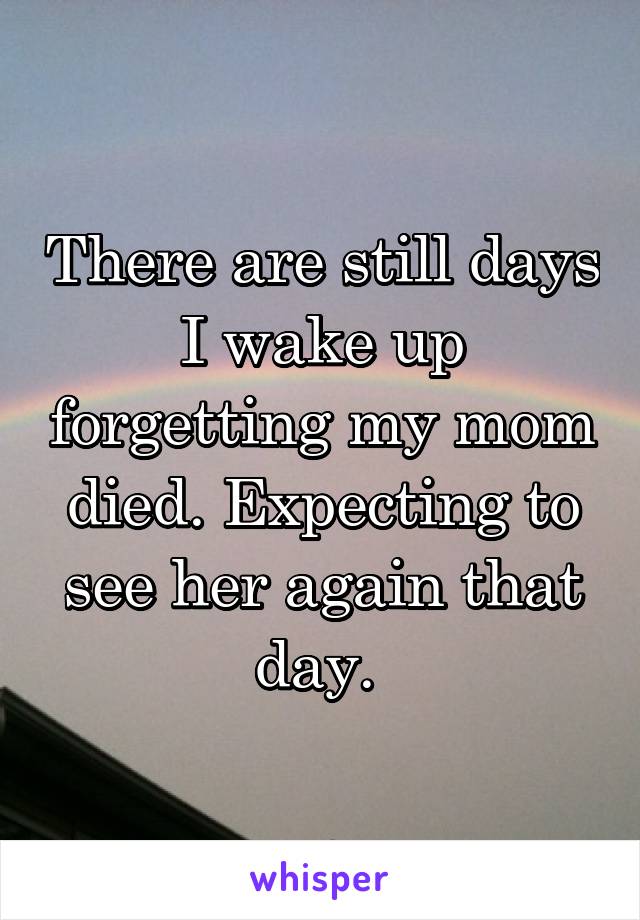 There are still days I wake up forgetting my mom died. Expecting to see her again that day. 