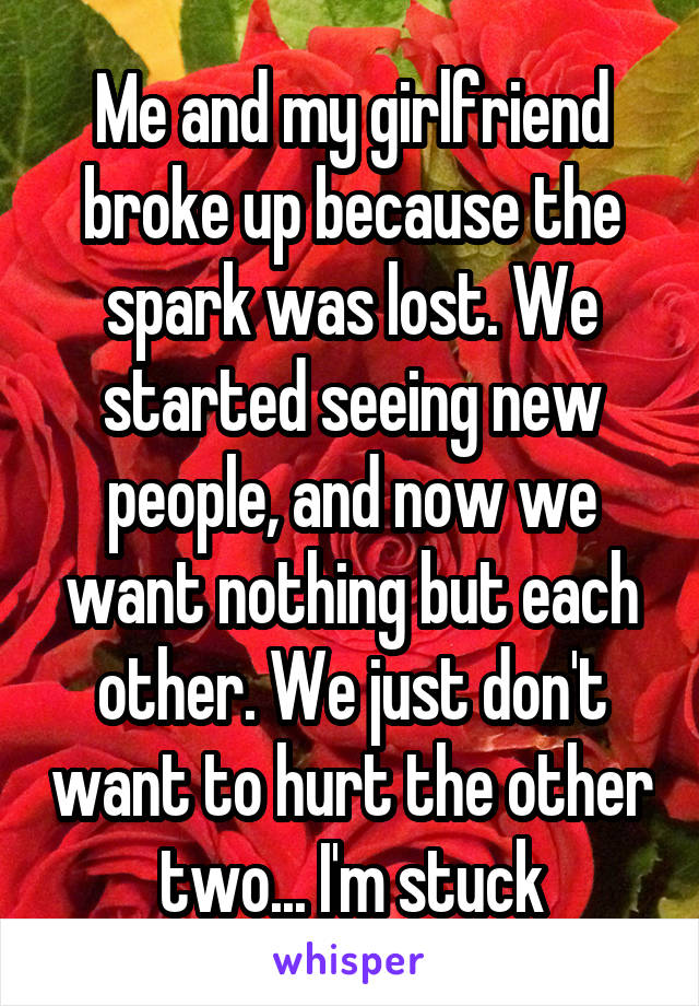Me and my girlfriend broke up because the spark was lost. We started seeing new people, and now we want nothing but each other. We just don't want to hurt the other two... I'm stuck