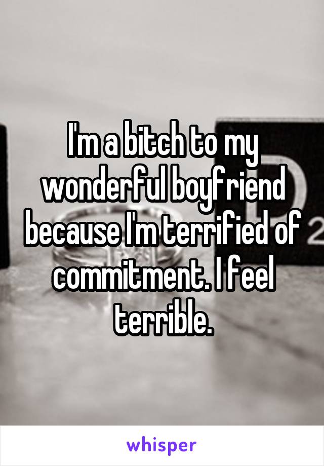 I'm a bitch to my wonderful boyfriend because I'm terrified of commitment. I feel terrible.