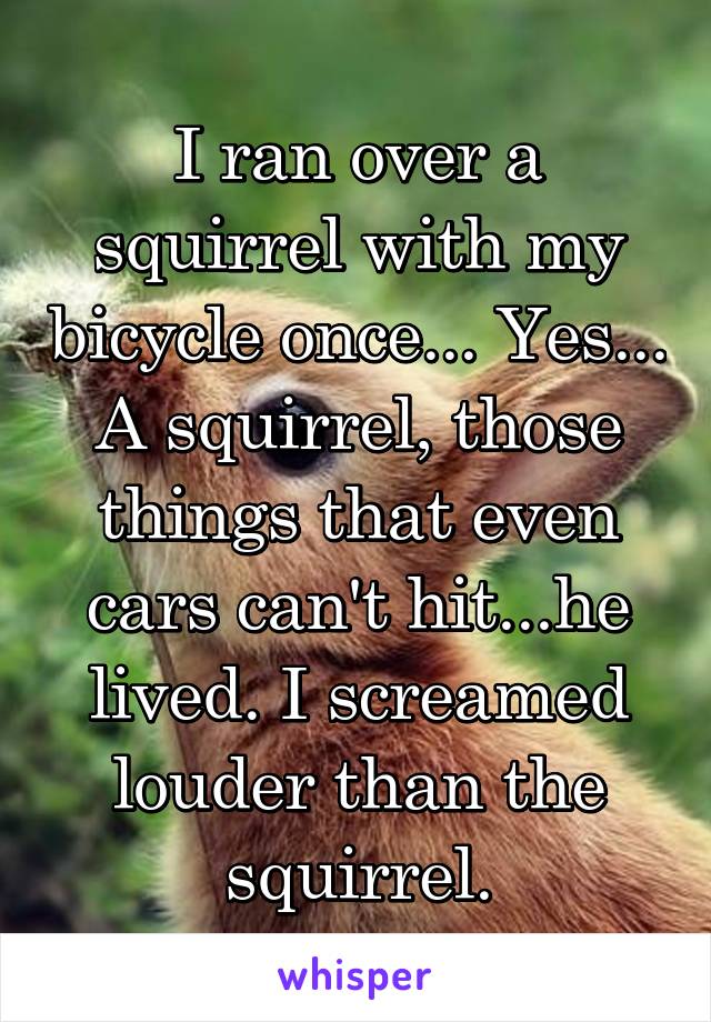 I ran over a squirrel with my bicycle once... Yes... A squirrel, those things that even cars can't hit...he lived. I screamed louder than the squirrel.