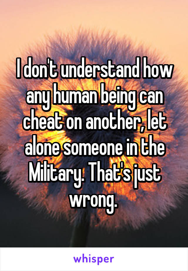 I don't understand how any human being can cheat on another, let alone someone in the Military. That's just wrong. 