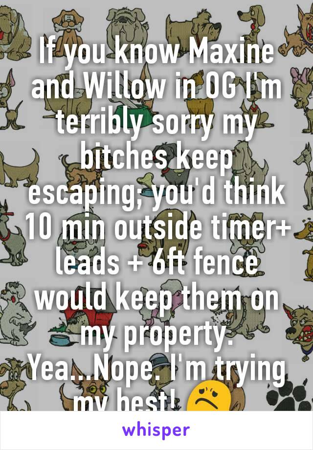 If you know Maxine and Willow in OG I'm terribly sorry my bitches keep escaping; you'd think 10 min outside timer+ leads + 6ft fence would keep them on my property. Yea...Nope. I'm trying my best! 😟 