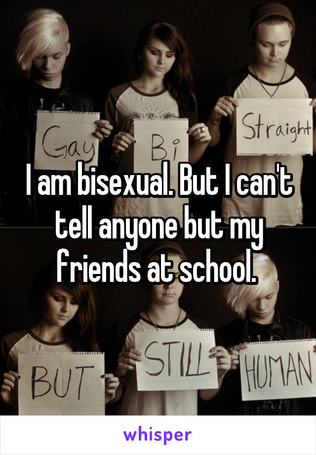 I am bisexual. But I can't tell anyone but my friends at school. 