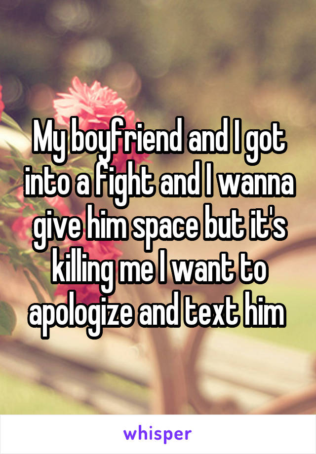 My boyfriend and I got into a fight and I wanna give him space but it's killing me I want to apologize and text him 