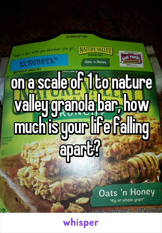 on a scale of 1 to nature valley granola bar, how much is your life falling apart? 