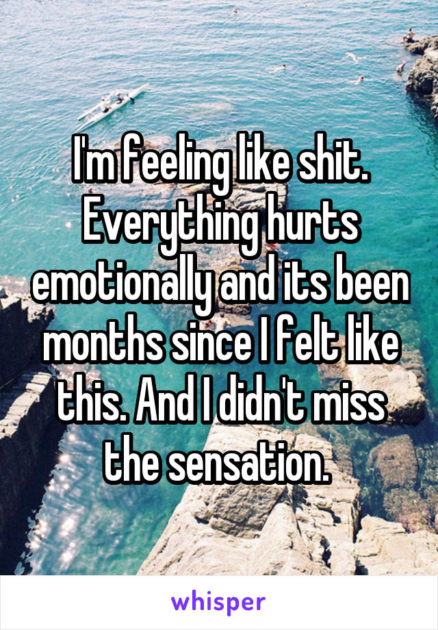 I'm feeling like shit. Everything hurts emotionally and its been months since I felt like this. And I didn't miss the sensation. 
