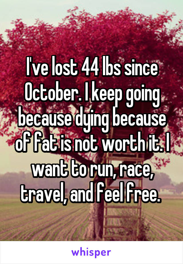 I've lost 44 lbs since October. I keep going because dying because of fat is not worth it. I want to run, race, travel, and feel free. 