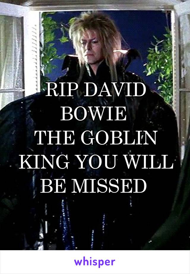 RIP DAVID BOWIE 
THE GOBLIN KING YOU WILL BE MISSED 