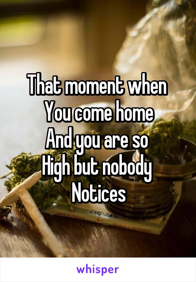 That moment when 
You come home
And you are so 
High but nobody 
Notices