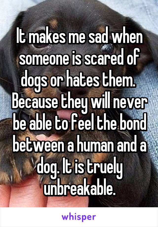 It makes me sad when someone is scared of dogs or hates them.  Because they will never be able to feel the bond between a human and a dog. It is truely unbreakable.