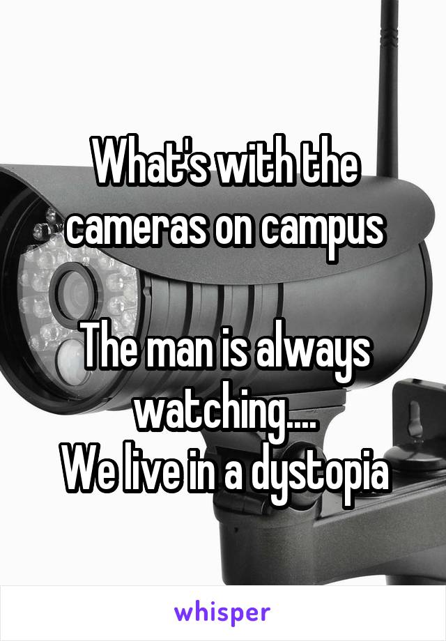 What's with the cameras on campus

The man is always watching....
We live in a dystopia