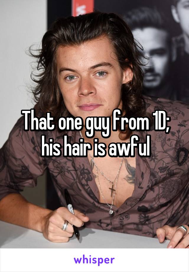 That one guy from 1D; his hair is awful