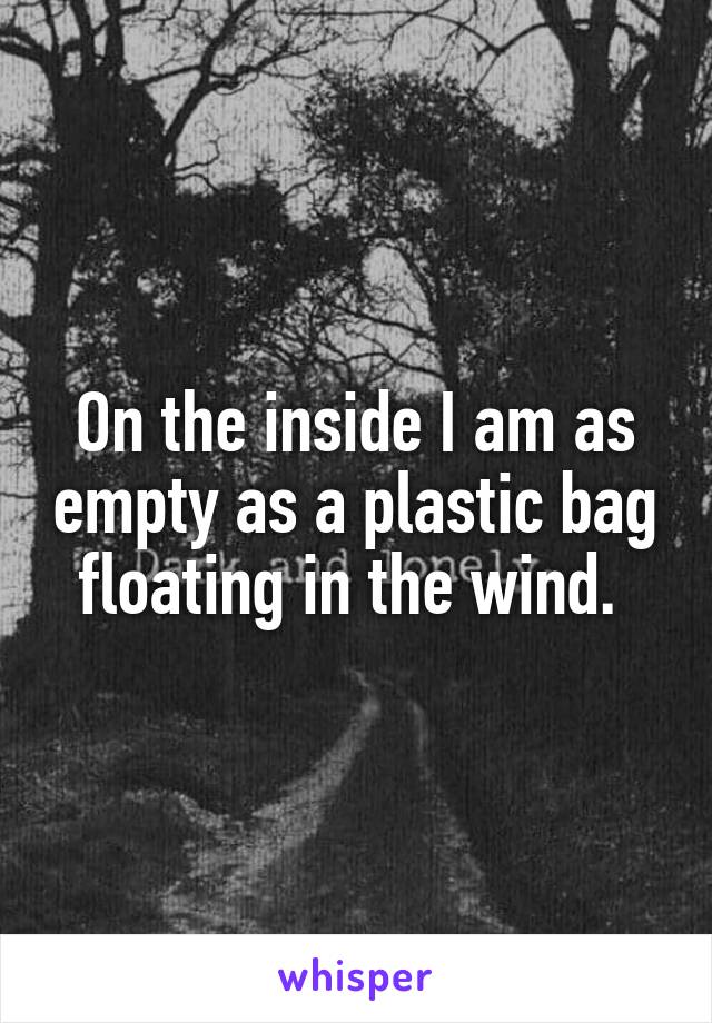 On the inside I am as empty as a plastic bag floating in the wind. 