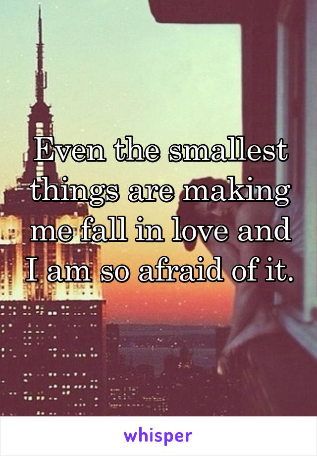 Even the smallest things are making me fall in love and I am so afraid of it. 