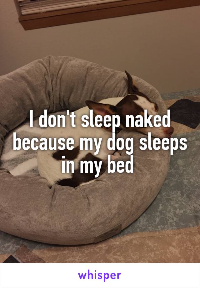 I don't sleep naked because my dog sleeps in my bed 