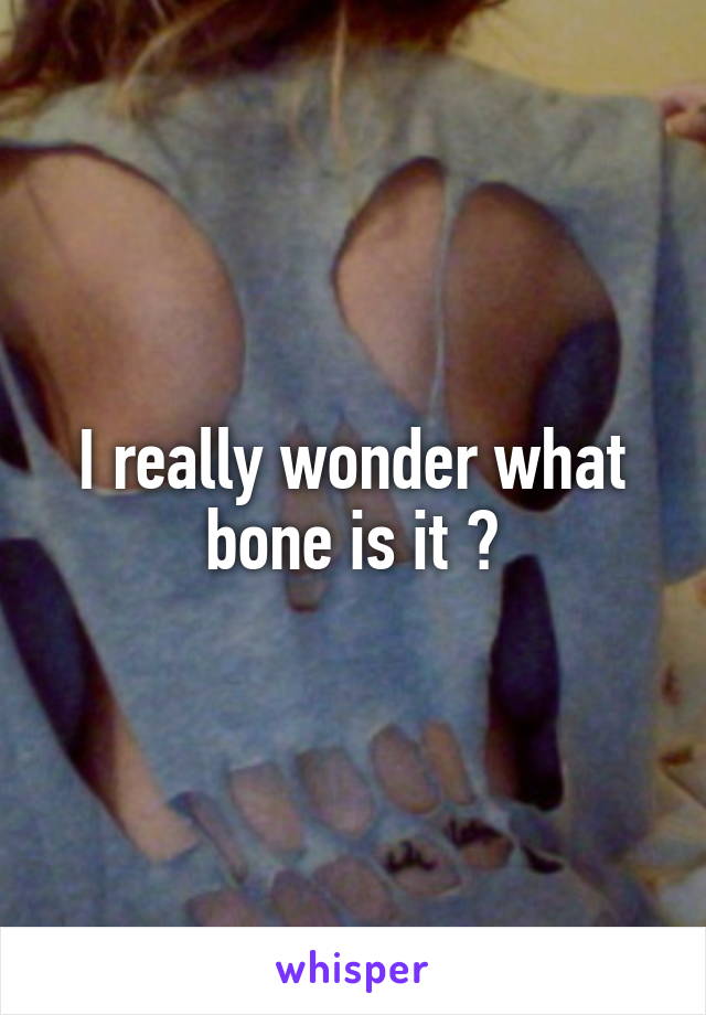 I really wonder what bone is it ?