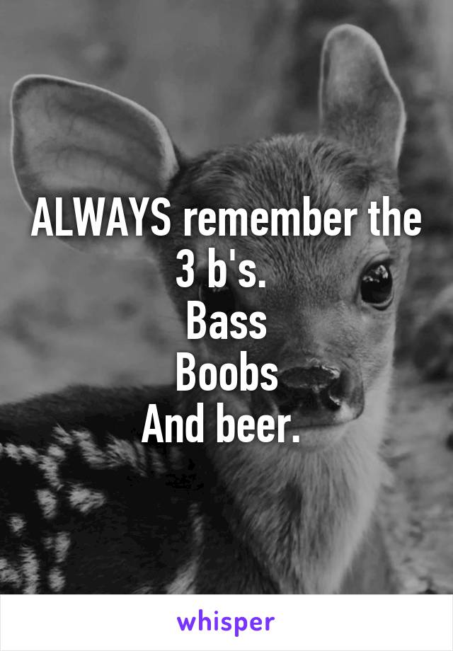 ALWAYS remember the 3 b's. 
Bass
Boobs
And beer. 