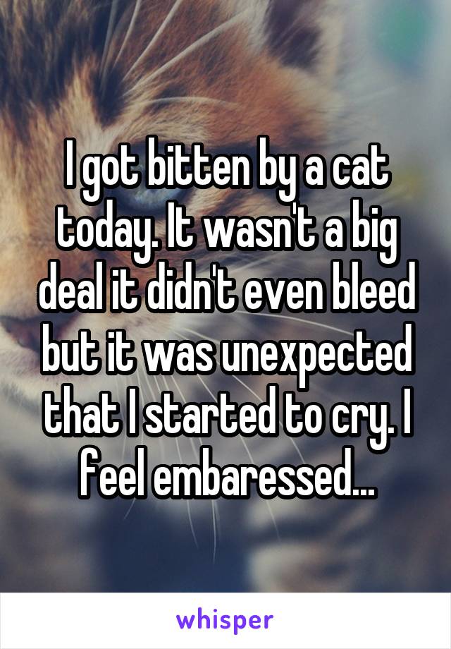 I got bitten by a cat today. It wasn't a big deal it didn't even bleed but it was unexpected that I started to cry. I feel embaressed...