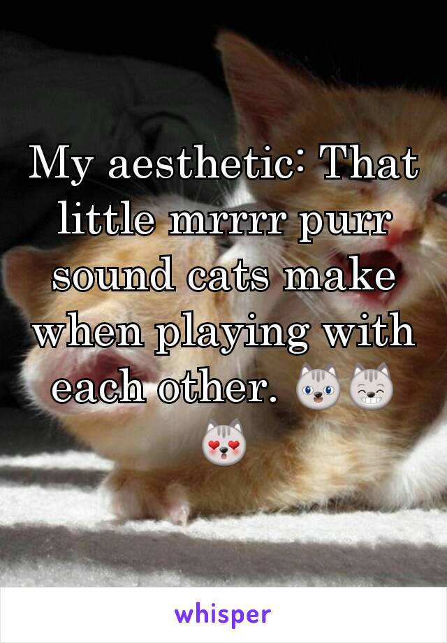 My aesthetic: That little mrrrr purr sound cats make when playing with each other. 😺😸😻