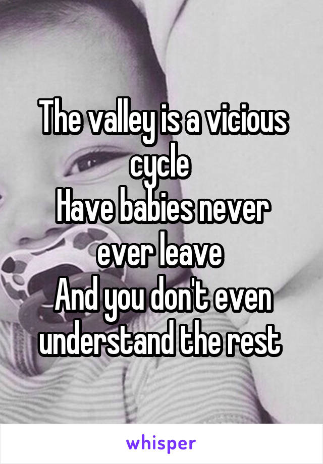 The valley is a vicious cycle 
Have babies never ever leave 
And you don't even understand the rest 