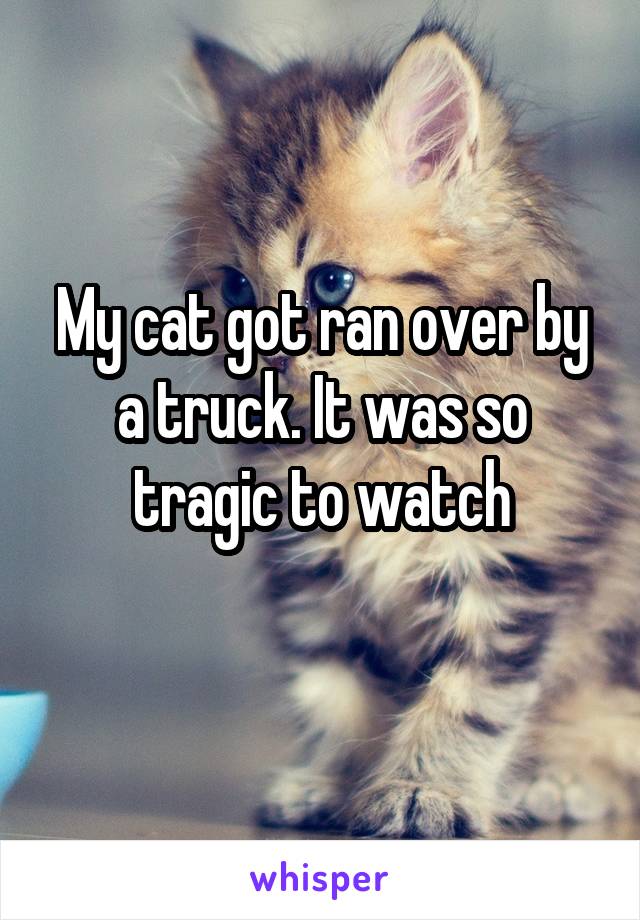 My cat got ran over by a truck. It was so tragic to watch
