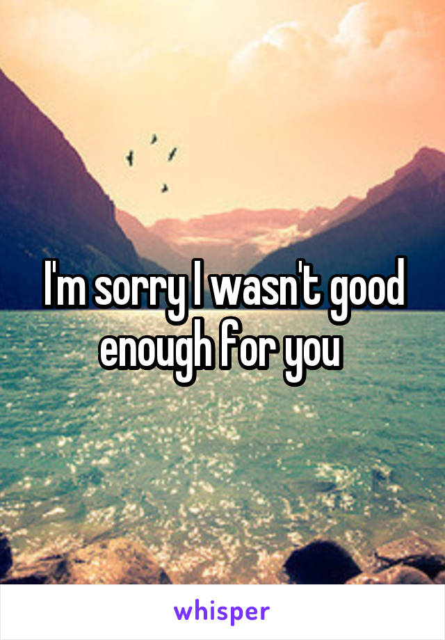 I'm sorry I wasn't good enough for you 