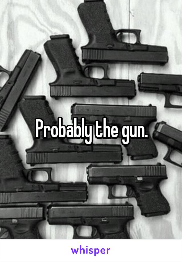 Probably the gun.