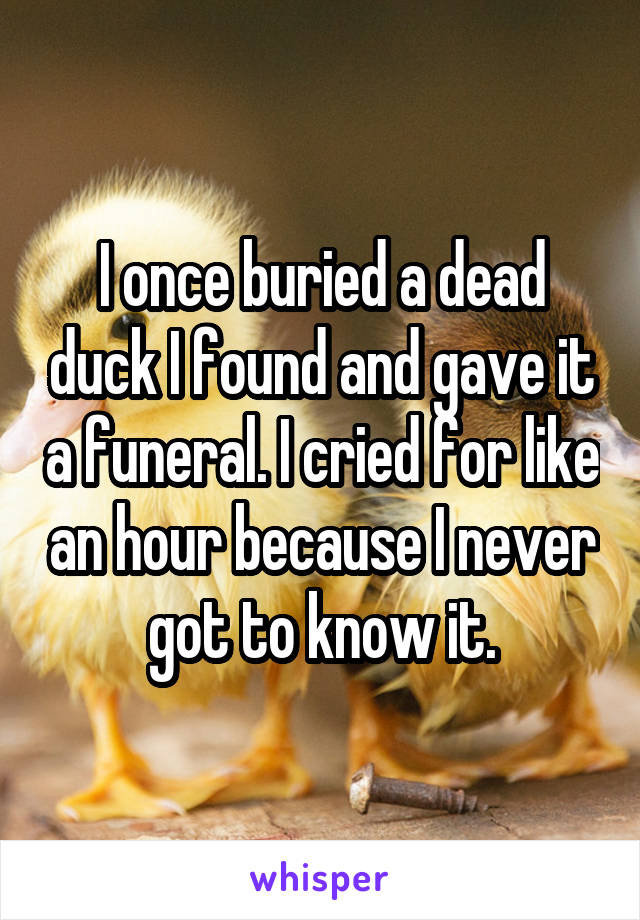 I once buried a dead duck I found and gave it a funeral. I cried for like an hour because I never got to know it.